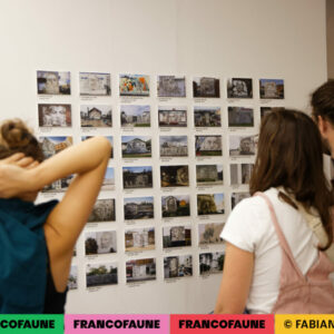 Ambiance Ambiance @ MIMA (FrancoFaune 2024) © Fabien Braeckman