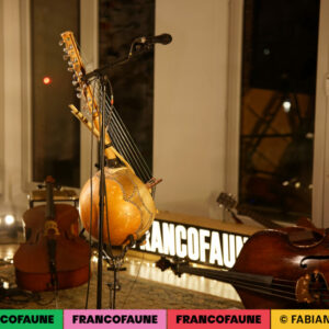 Ambiance Ambiance @ MIMA (FrancoFaune 2024) © Fabien Braeckman