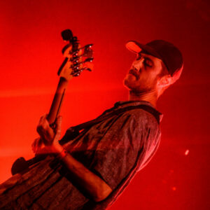 Peritelle Peritelle @ Botanique (FrancoFaune 2024) © Lara Herbinia