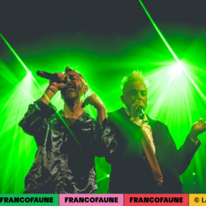 Peritelle Peritelle @ Botanique (FrancoFaune 2024) © Lara Herbinia