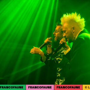 Peritelle Peritelle @ Botanique (FrancoFaune 2024) © Lara Herbinia