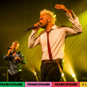 Peritelle Peritelle @ Botanique (FrancoFaune 2024) © Lara Herbinia