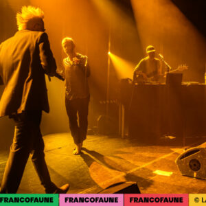 Peritelle Peritelle @ Botanique (FrancoFaune 2024) © Lara Herbinia