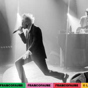 Peritelle Peritelle @ Botanique (FrancoFaune 2024) © Lara Herbinia