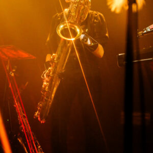 Sages comme des sauvages Sages comme des sauvages @ Botanique (FrancoFaune 2024) © Lara Herbinia