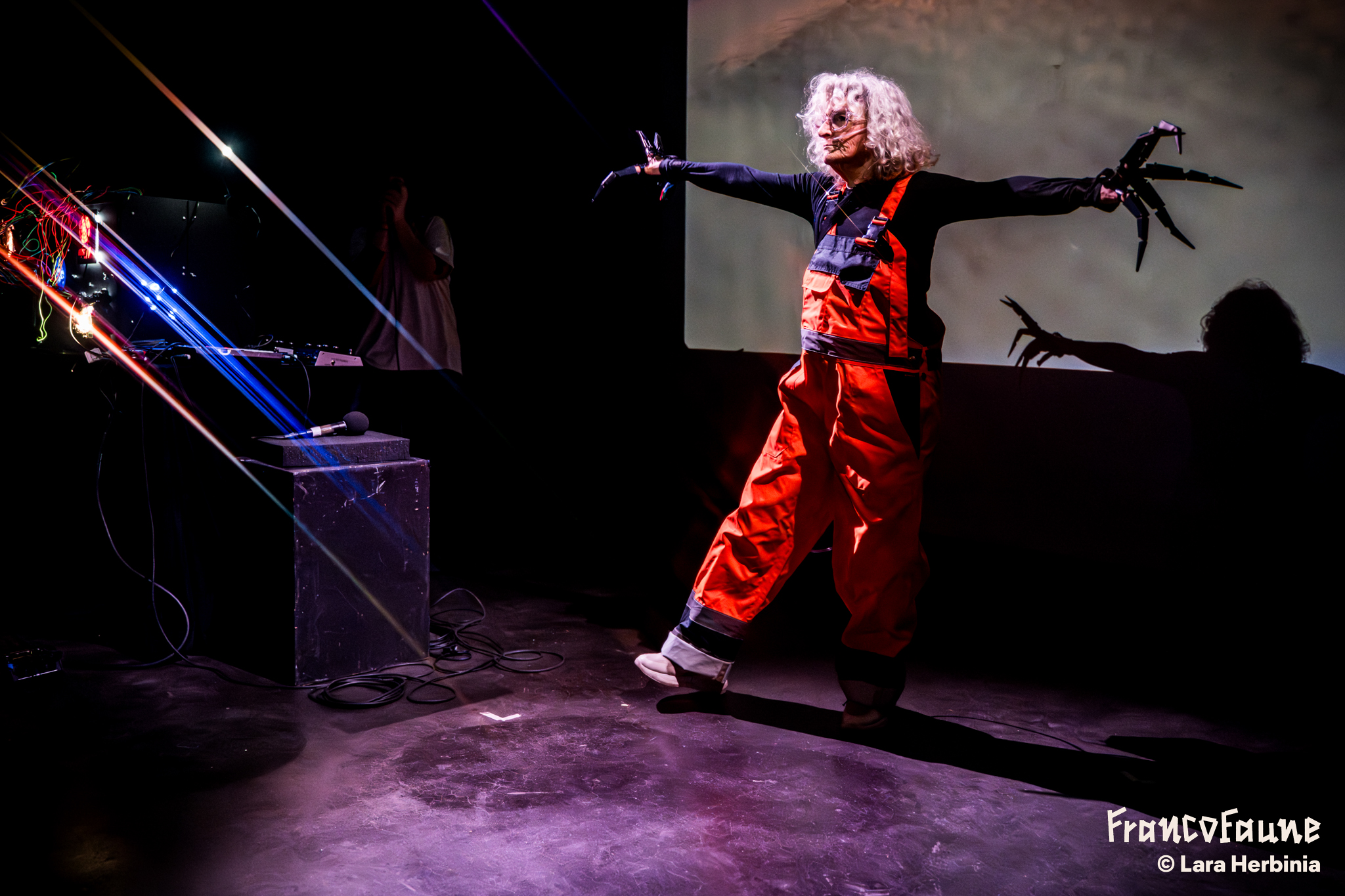 Bilou @ Maison poème (FrancoFaune 2025) © Lara Herbinia